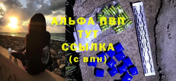 прущие грибы Надым