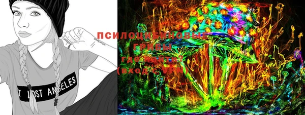 спиды Нея