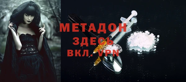 прущие грибы Надым