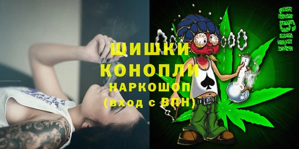 прущие грибы Надым