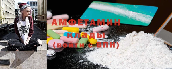 прущие грибы Надым