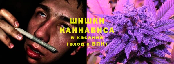 прущие грибы Надым