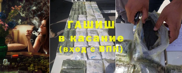 прущие грибы Надым