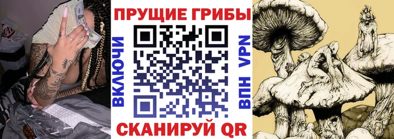 shop телеграм  Полярный  Галлюциногенные грибы Psilocybe 